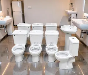 Durable Ceramic Bathroom Toilet with Soft Closing Seat