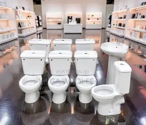 Luxury Close Coupled Toilet with Ceramic Finish