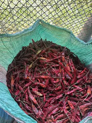 Sun Dried Red Cayenne Chillies