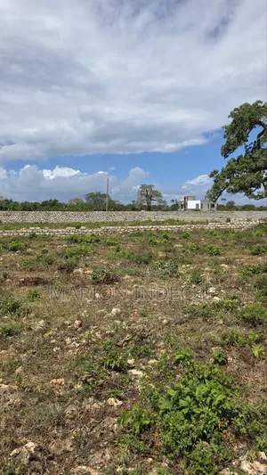 Viwanja Vizuri vya Diani 50x100ft Vinauzwa