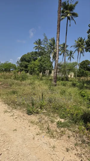 2 Acres for Sale in Kilifi Tezo