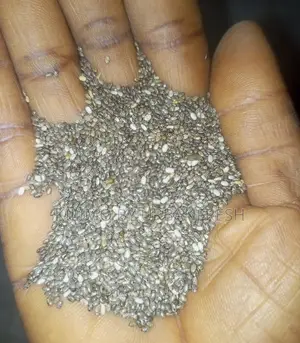 Chia Planting Seeds 1 Kg