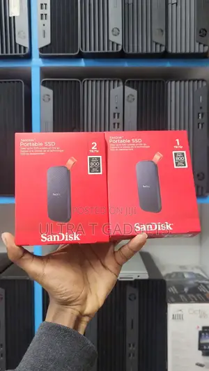 SanDisk Portable SSD
