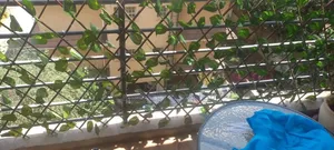 Fensi ya Kupanuka ya Ivy Bandia kwa Faragha