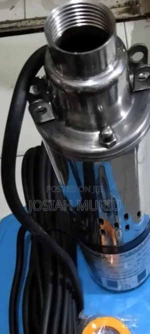 Freevel 250W DC Water Pump