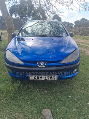 Peugeot 206 2009 Bluu