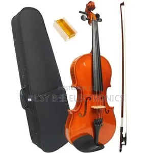 4/4 Full Size Violin with Accessories