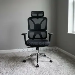 Orthopedic Home Office Adjustable Seat