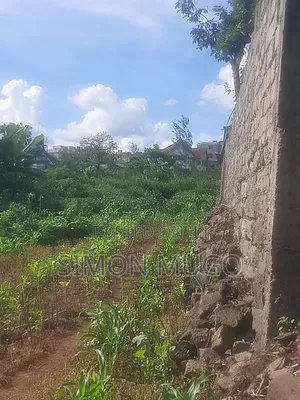 Shamba la Ekari 42 Ruiru Kiambu Road
