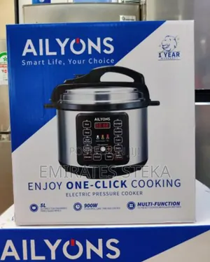 Ailyons 5L 1000W Electric Pressure Cooker - Silver
