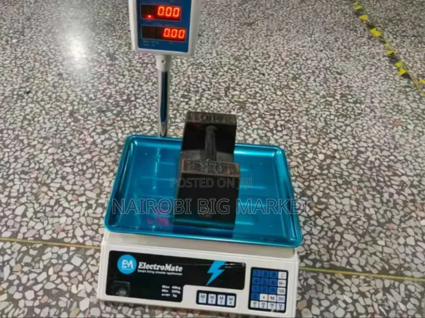 Electromate 40kgs Digital Computing Weighing Scale With Arm - 1