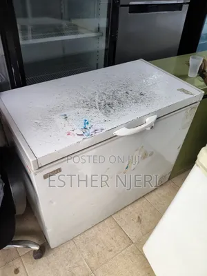 Ecomax 300litres Chest Freezer