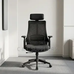 Ergonomic Mesh Lama Study Chair