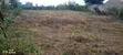 50x100 Plot for Sale in Gatundu North - 2