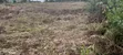 50x100 Plot for Sale in Gatundu North - 3