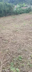 50x100 Plot for Sale in Gatundu North - 4