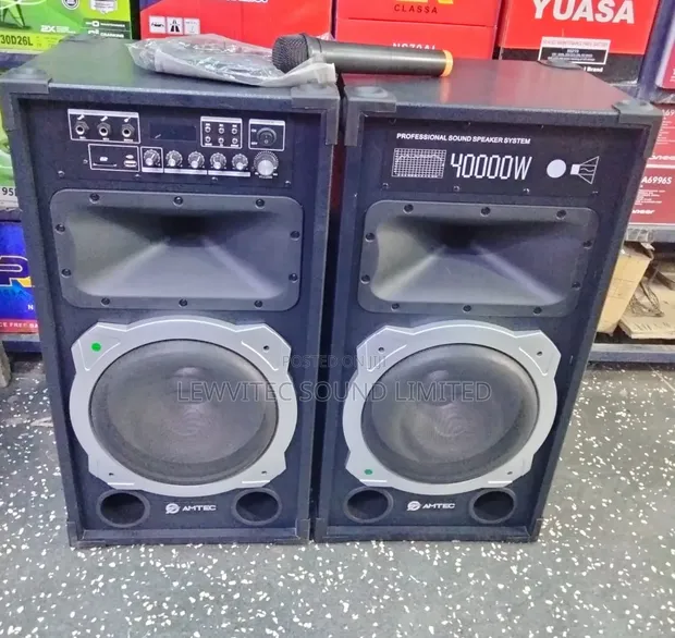 Professional Sound Speaker System - 1
