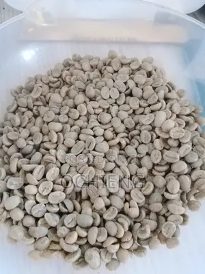 Green Mountain Coffee Beans - Hazikuchomwa