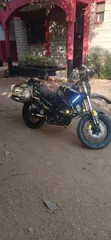 Tekken Forza 250 2024 Yellow - 1