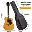 41 Inch Acoustic Guitar Bag - 2