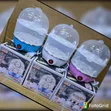 Mini Electric Egg Cooker - Single Egg Boiler - 1