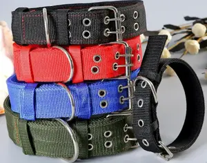 Brand New Dog Collars