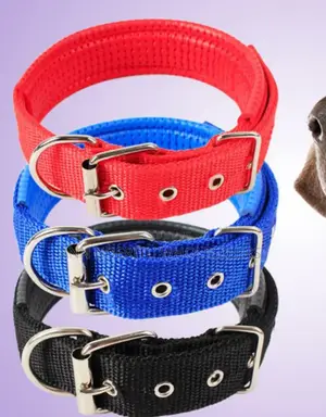 Large Dog Collar - Brand New