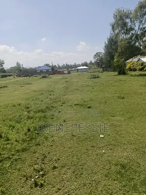 Kiwanja Kinauzwa Kisumu Mowlem