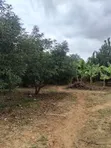 5 Acres Prime Land for Sale at Maragua - 2