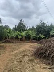 5 Acres Prime Land for Sale at Maragua - 4