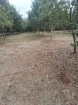 5 Acres Prime Land for Sale at Maragua - 5