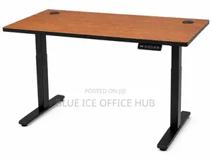 Electric Desk - Modern Adjustable Office Study Desk