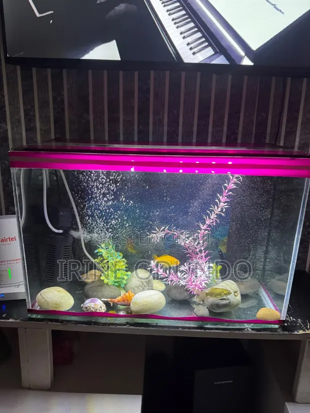 Aquarium ya Lita 30 na Vifaa - 1
