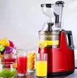 Starlux High Yield Slow Masticating Juicer - 1