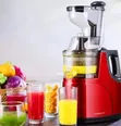 Starlux High Yield Slow Masticating Juicer - 2
