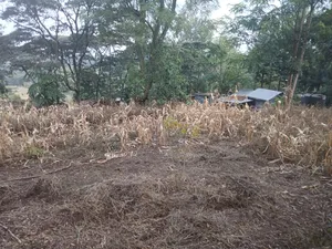 Uuzaji wa Haraka: Nusu Eka Ardhi Nyekundu Olkeri, Ngong - KES 9.2M