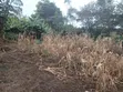 Uuzaji wa Haraka: Nusu Eka Ardhi Nyekundu Olkeri, Ngong - KES 9.2M - 3