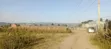 Kitalu cha 50x100 Kinauzwa Greenstead - 2