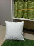 Elegant Throw Pillows for Home Decor - 2