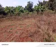 Land for Sale in Ndenderu, Kiambu - 1