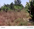 Land for Sale in Ndenderu, Kiambu - 2