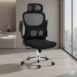 Kiti cha Ofisi cha Orthopedic chenye Mkeka Mrefu na Mikono Inayofunguka - 3