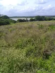 Land for Sale Along Garissa Highway Near Kithimani - 1
