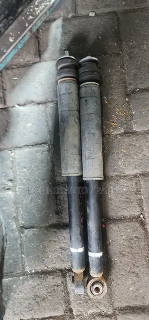 Suzuki Alto Rear Shock Absorber (Used)