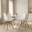 Eames Style Dining Set ya Nje - Viti 4 - 2