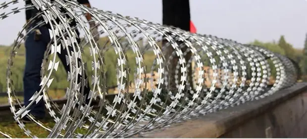 10m Razor Wire - 1