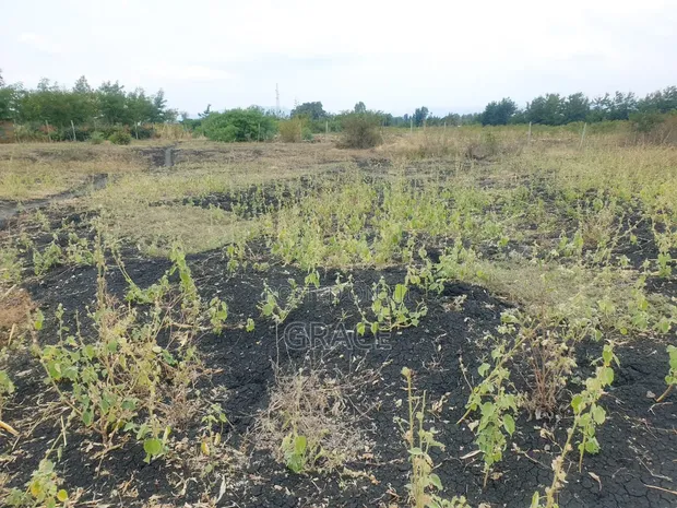 Makutano-Mwea Prime Plots for Sale - 1