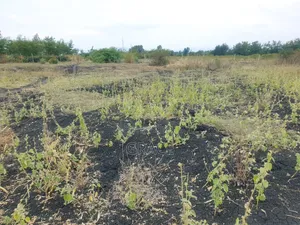 Makutano-Mwea Prime Plots for Sale