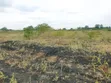 Vipande Bora vya Makutano-Mwea Vinauzwa - 4