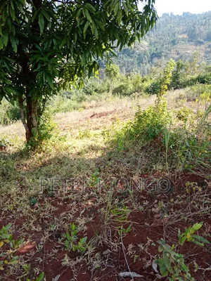 Muranga Kiharu 3 Acres Land for Sale